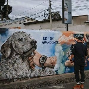 Meet your Posher, Franklin rafael